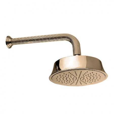 Верхний тропический душ Cezares Olimp CZR-TDD2-02 бронза фото