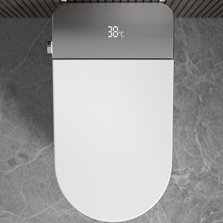 Умный электронный унитаз с функцией биде Cerutti SPA Ester Smart CT10617 фото