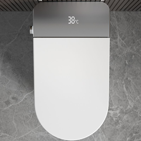 Умный электронный унитаз с функцией биде Cerutti SPA Ester Smart CT10617 фото