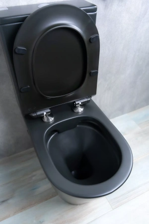 Унитаз напольный с бачком Gid Tr2179BM черный матовый фото