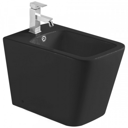 Биде напольное WeltWasser Gelbach GELBACH 003 MT-BL черное матовое фото