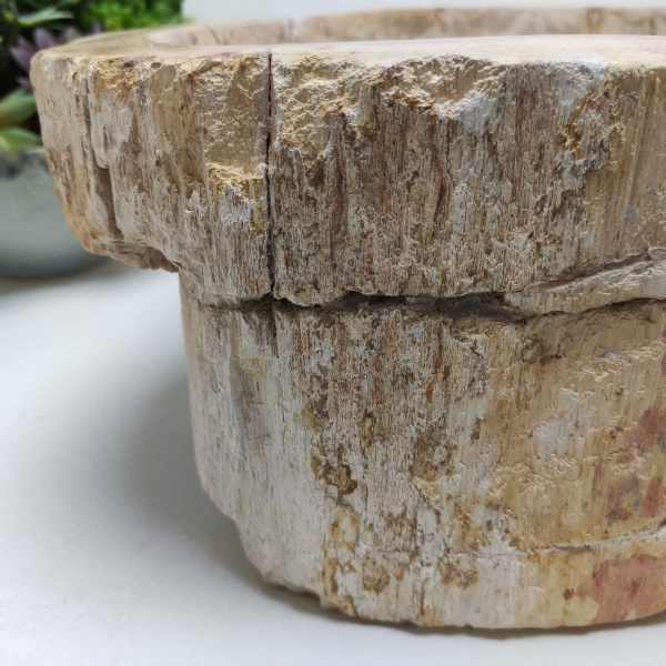 Накладная раковина из окаменелого дерева Fossil Basin OD-01264 (48*34*15) фото