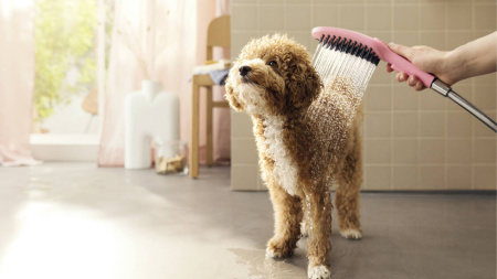 Ручной душ для собак Hansgrohe DogShower 3jet 26640560 розовый фото