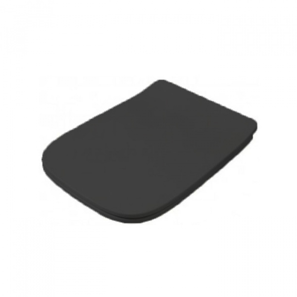 Сиденье для унитаза Artceram A16 ASA001 17 71 soft close черное матовое фото