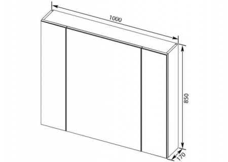 Зеркало-шкаф Aquanet Эвора 100 00182998 фото