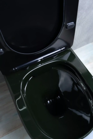 Унитаз напольный с бачком Gid Tr2179BL черный глянец фото