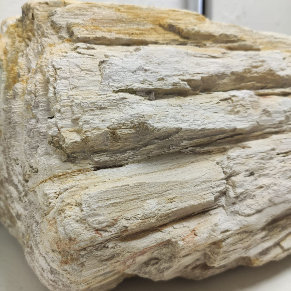 Накладная раковина из окаменелого дерева Fossil Basin OD-01336 (86*35*18) фото