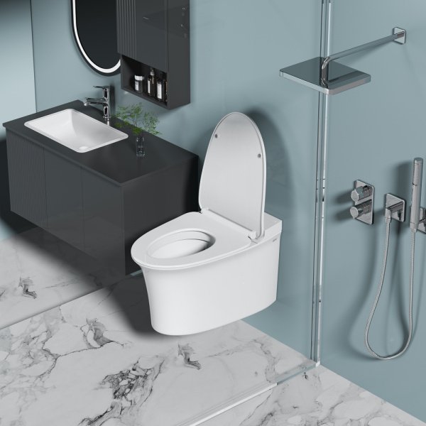 Подвесной унитаз с импульсным смывом Abber Bequem AC1124P фото