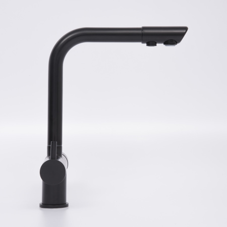 Смеситель для кухни под фильтр WasserKRAFT A8367 черный матовый фото