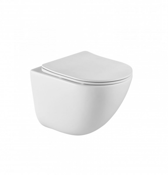 Подвесной унитаз BelBagno Amanda BB051CHR фото