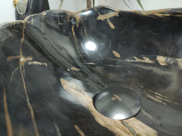 Накладная раковина из окаменелого дерева FSB-0409 фото