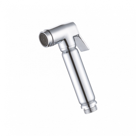 Гигиеническая лейка без смесителя Ganzer GZ20 GZ 2010 фото