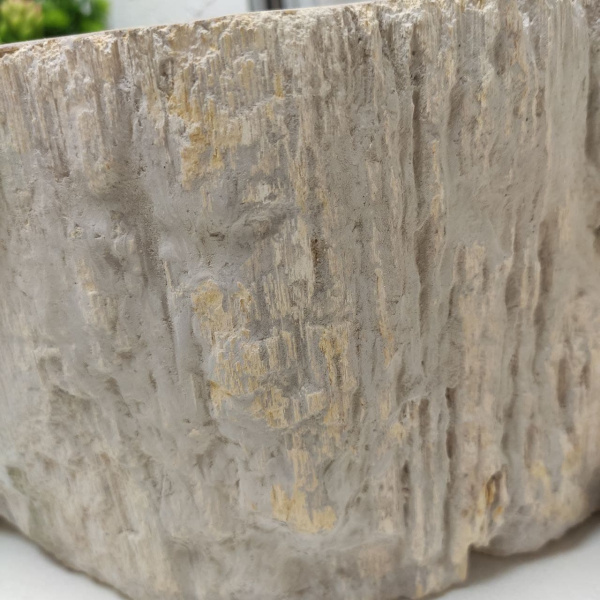 Накладная раковина из окаменелого дерева Fossil Basin OD-01305 (57*44*14) фото