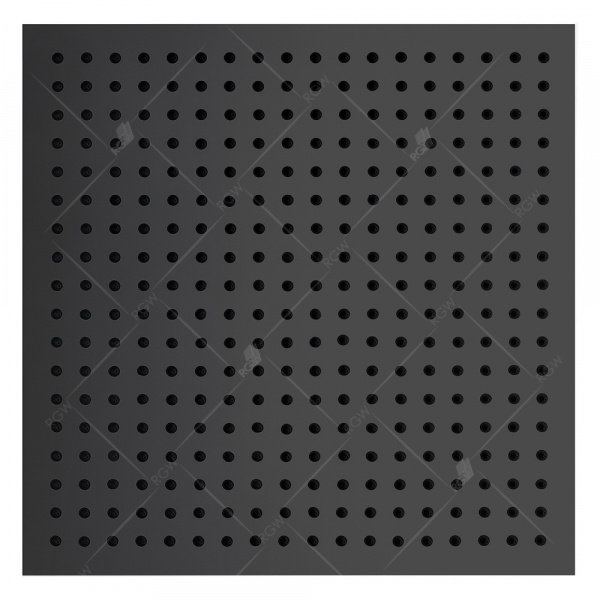 Верхний тропический душ RGW Shower Panels SP-82-25 B 21148250-04 50x50 фото