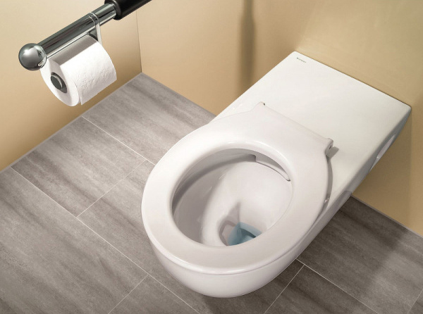 Подвесной унитаз для инвалидов Geberit Selnova Comfort 500.262.01.1 фото