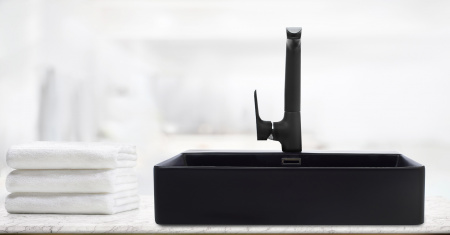 Накладная раковина WeltWassaer Elbach ELBACH 2173 MB фото