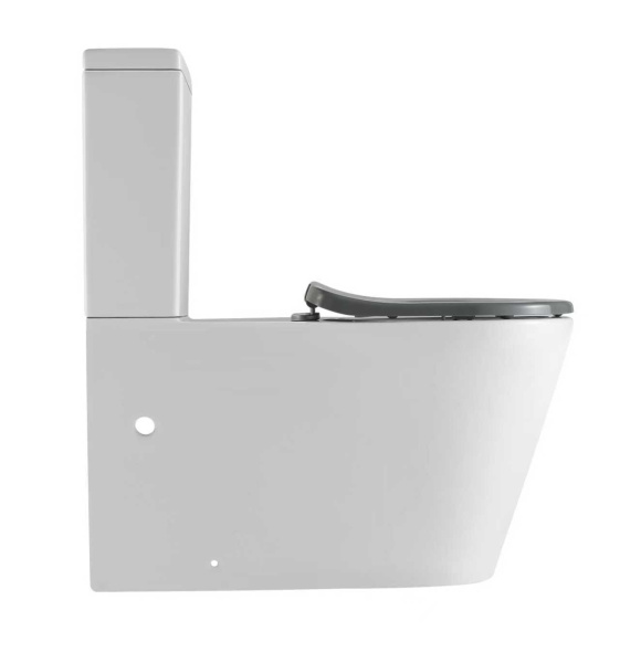 Унитаз-компакт для инвалидов SantiLine SL-3010 с сиденьем фото