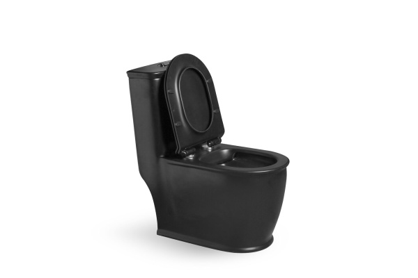 Унитаз напольный с бачком SantiLine SL-5019MB черный матовый фото