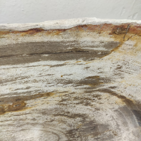 Накладная раковина из окаменелого дерева Fossil Basin OD-01331 (89*43*15) фото