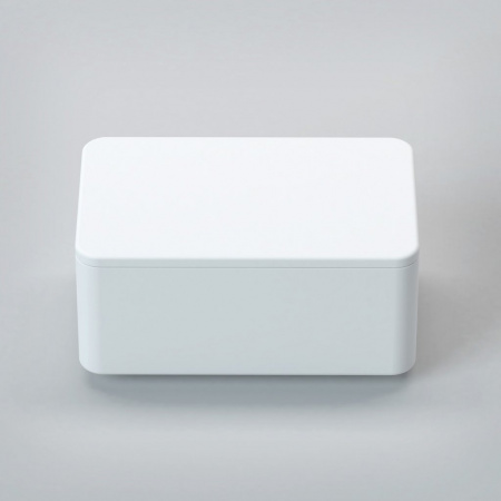 Бокс с крышкой Cezares Titan TITAN-RECT-SCAT фото