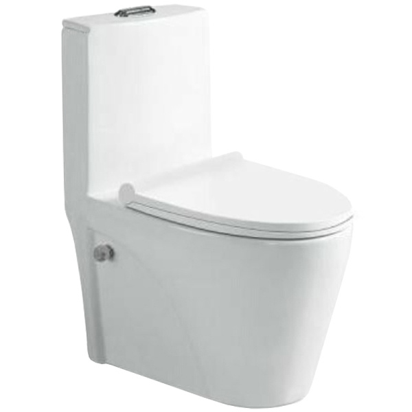 Унитаз напольный с функцией биде SantiLine SL-5012SM-BD фото