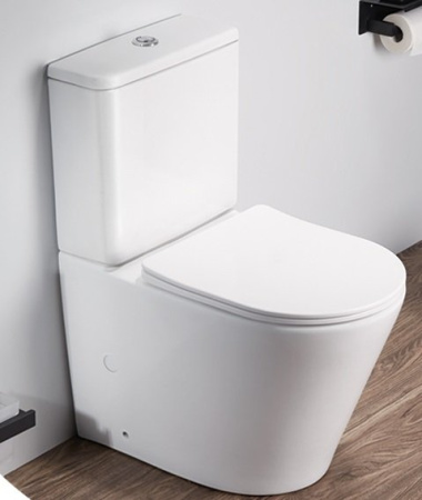 Унитаз напольный CeramaLux N 2179XMW с сиденьем / белый матовый фото
