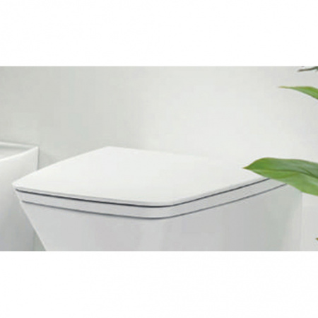 Сиденье для унитаза Azzurra Hera HER1800/F soft close фото