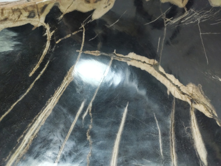 Накладная раковина из окаменелого дерева FSB-0408 (76*41*17) фото