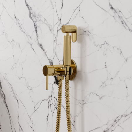 Гигиенический душ со смесителем WasserKRAFT A70738 глянцевое золото фото