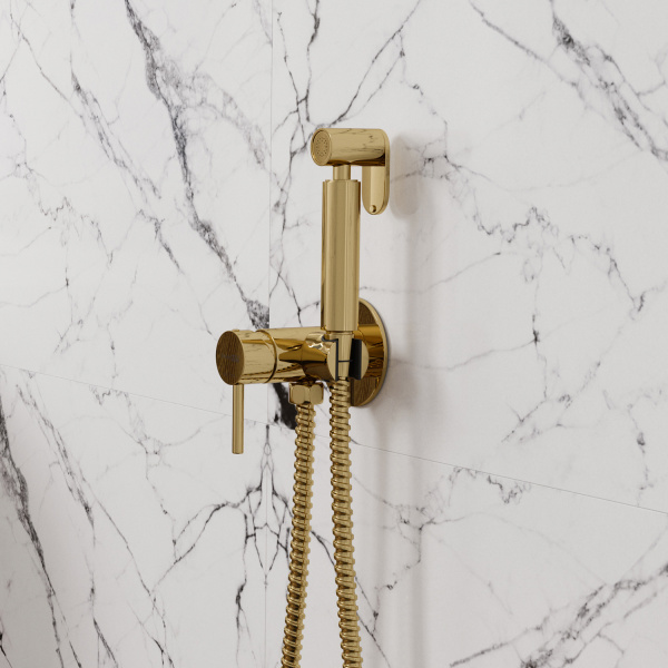 Гигиенический душ со смесителем WasserKRAFT A70738 глянцевое золото фото