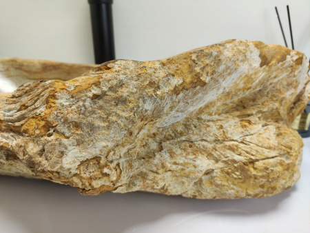 Накладная раковина из окаменелого дерева FS-0402 (63*36*16) фото