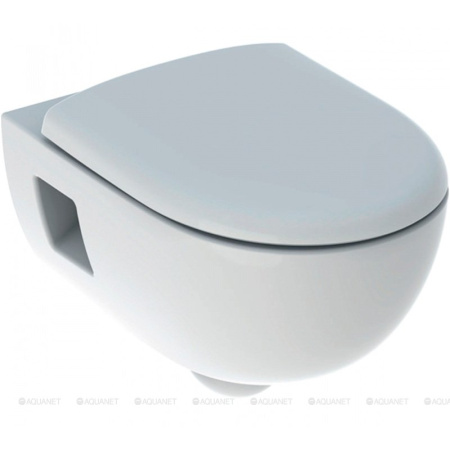 Унитаз с инсталляцией Geberit Renova 500.103.DW.R фото