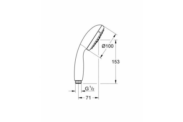 Душевая лейка Grohe Tempesta New 100 28261002 фото