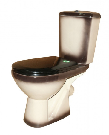 Унитаз-компакт напольный Rosa Комфорт 422817 черный, с сиденьем фото