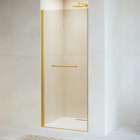 Душевая дверь RGW PA-103Gb прозрачная 90 см фото