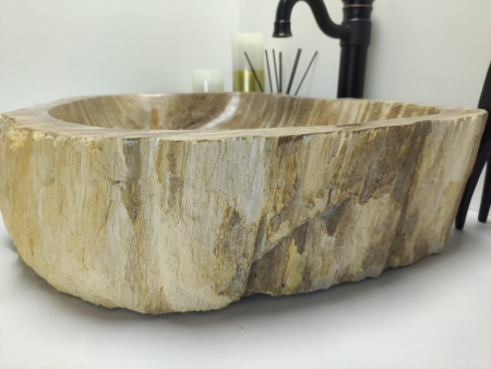 Раковина из окаменелого дерева Indo Fossil Basin OD-00410 фото