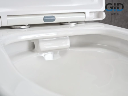 Унитаз напольный безободковый GID Tn2123 с сиденьем фото