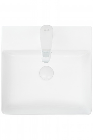 Накладная раковина WeltWassaer Elbach ELBACH 2177 MW фото