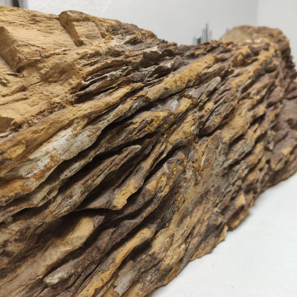 Накладная раковина из окаменелого дерева Fossil Basin OD-01342 (80*41*18) фото