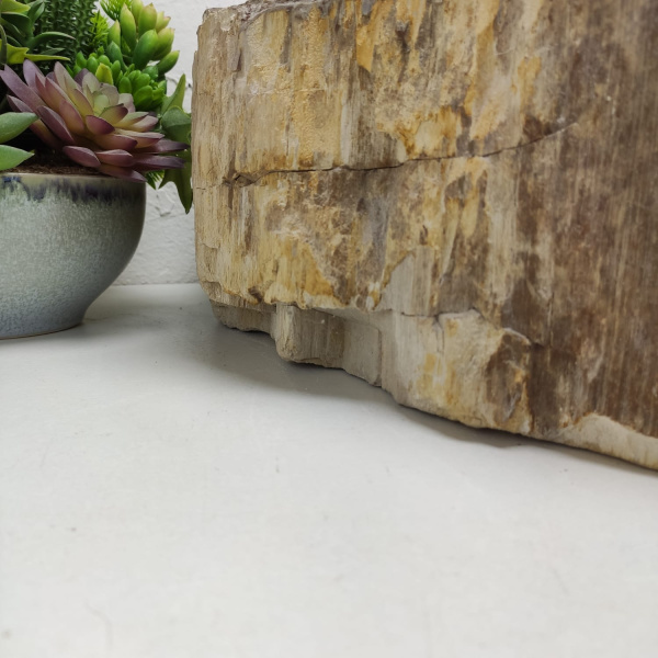 Накладная раковина из окаменелого дерева Fossil Basin OD-01338 (58*51*15) фото