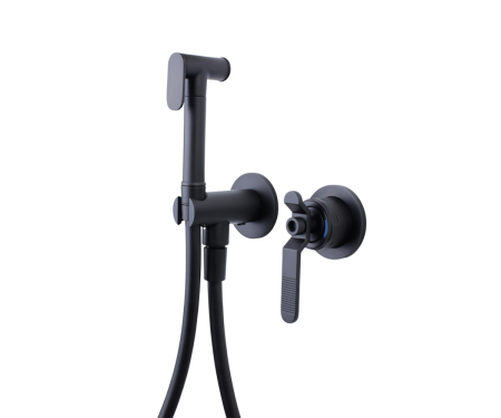 Гигиенический душ со смесителем Bronze de Luxe 1760 Loft 3253SB фото