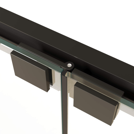 Душевая дверь RGW PA-21B  90 см фото