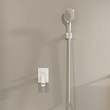 Душевая лейка Omnires Davis DAVIS-RCRB хром/белый фото