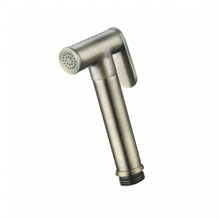 Гигиеническая лейка без смесителя Ganzer GZ20 GZ 2012D фото