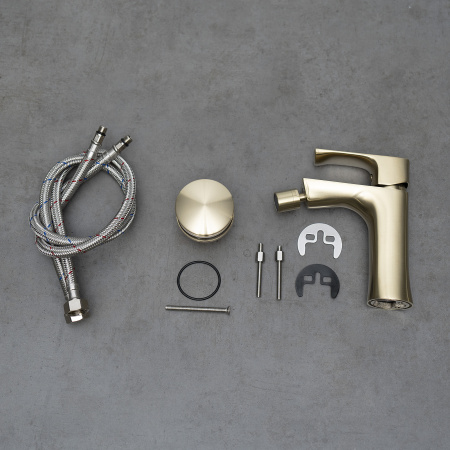 Смеситель для биде Lemark Ursus LM7208BG фото