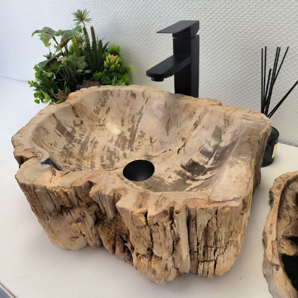 Накладная раковина из окаменелого дерева Fossil Basin OD-02467 45x38 фото