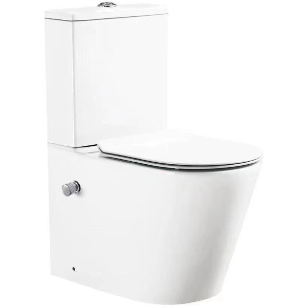 Унитаз напольный с функцией биде SantiLine SL-5014SM-BD фото