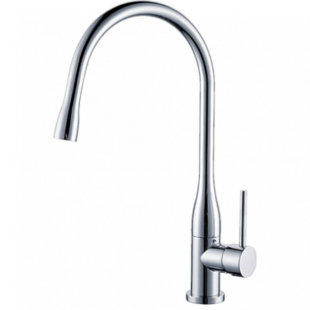 Смеситель для кухни Ganzer Rein GZ 16035 фото