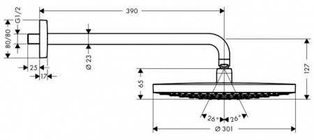 Верхний тропический душ Hansgrohe Raindance Select S 300 2jet 27378400 фото