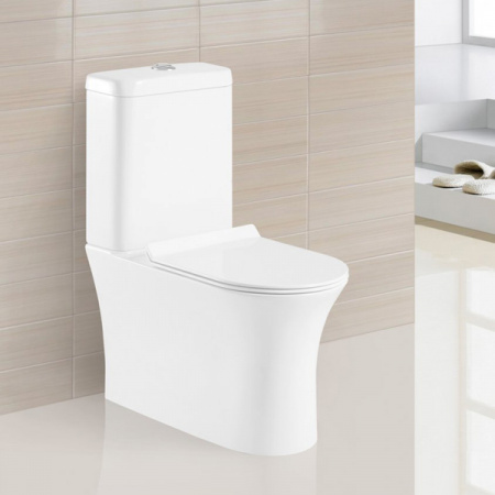 Унитаз напольный с бачком BelBagno Ancona BB1224CPR-P фото